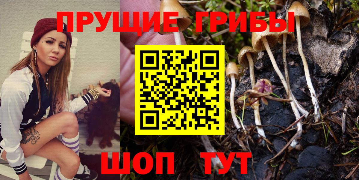Краснокаменск  НБОМе  Лсд 25  Метамфетамин  Меф кристаллы  Вход с VPN  A PVP СОЛЬ кристаллы  Метадон  Конопля  Каннабис 